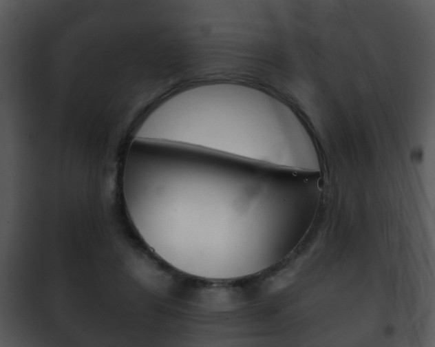 X0000101980404200807180805