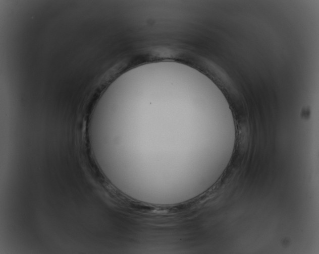 X0000101980406200807180805