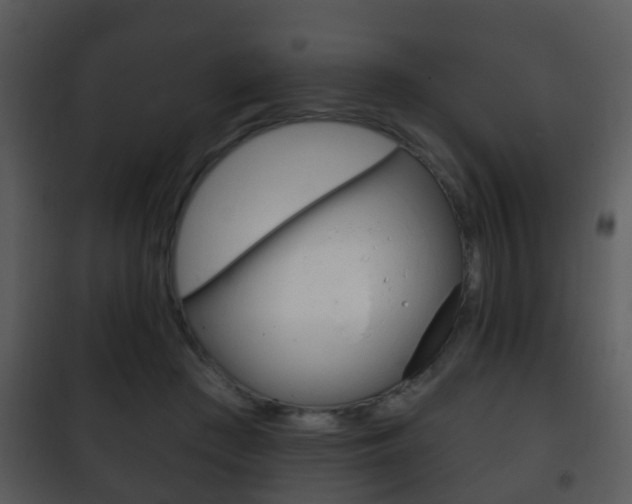 X0000101980409200807180805