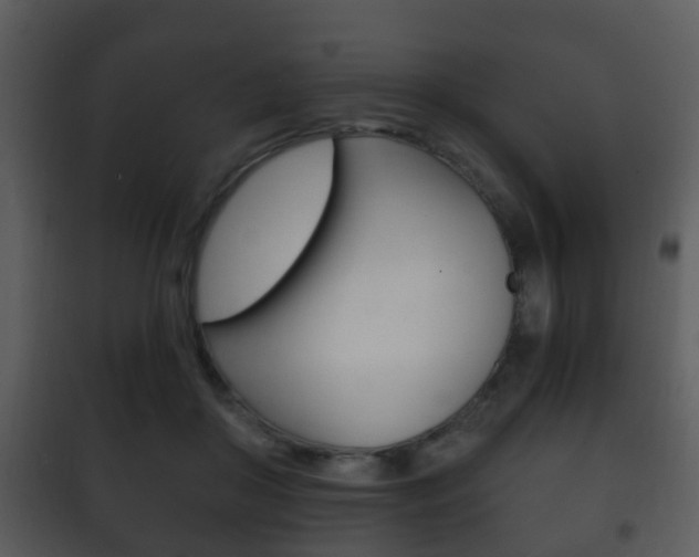 X0000101980410200807180805
