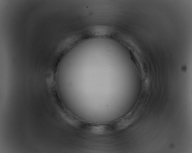 X0000101980411200807180805