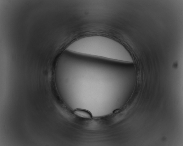X0000101980412200807180805