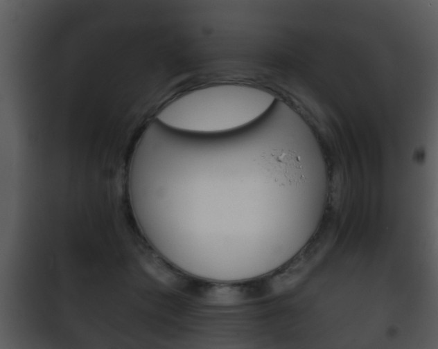 X0000101980413200807180805