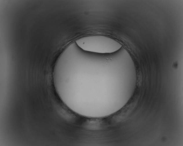 X0000101980414200807180805