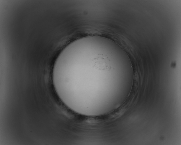 X0000101980416200807180805