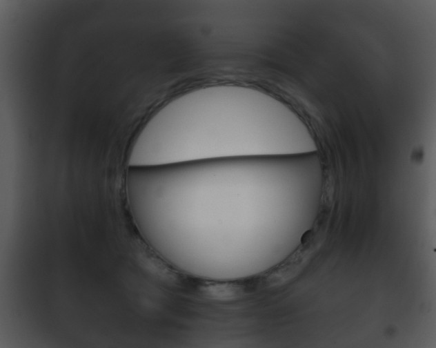 X0000101980417200807180805