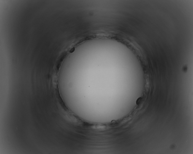X0000101980419200807180805