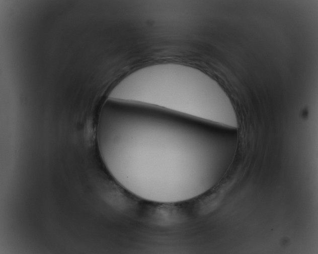 X0000101980420200807180805