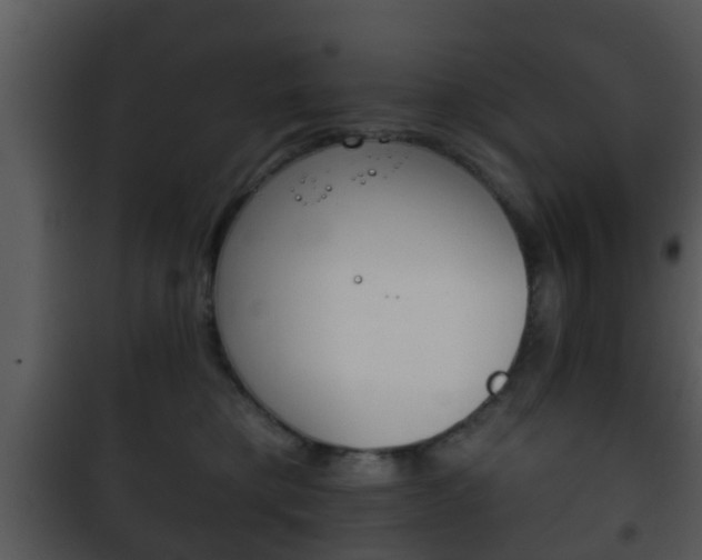 X0000101980421200807180805