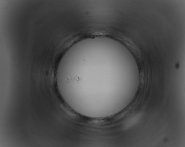 X0000101980422200807180805