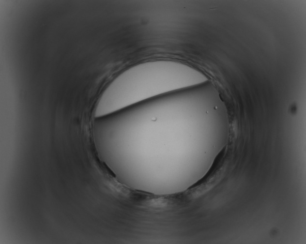 X0000101980423200807180805