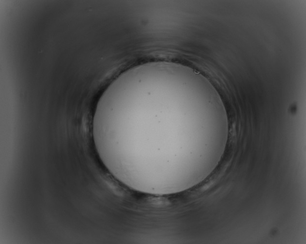 X0000101980424200807180805