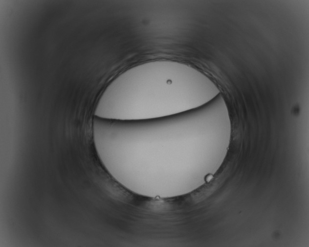 X0000101980425200807180805
