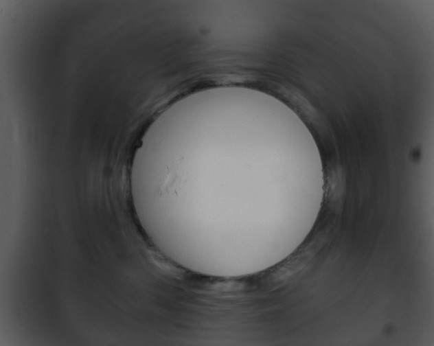 X0000101980426200807180805