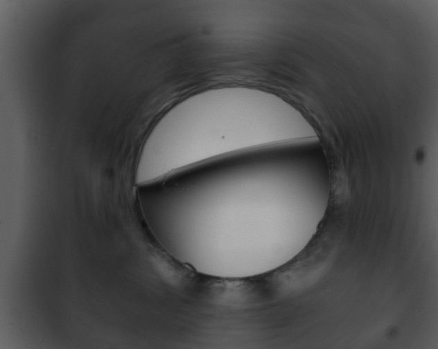 X0000101980428200807180805