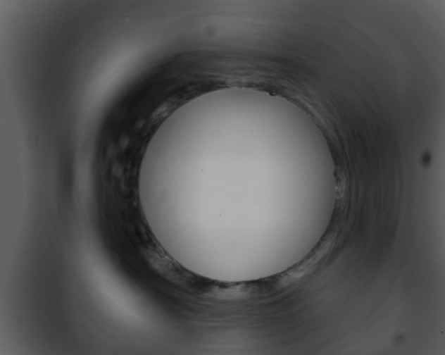 X0000101980430200807180805
