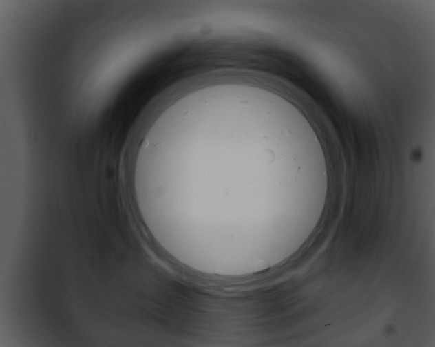 X0000101980431200807180805