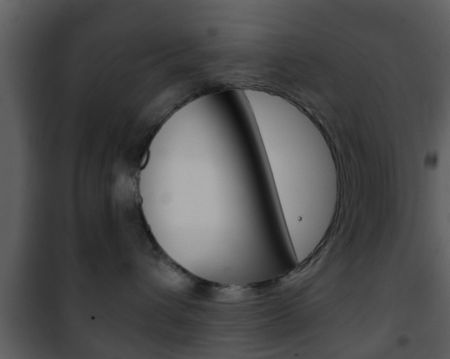 X0000101980432200807180805