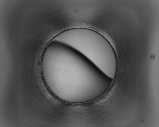 X0000101980433200807180804