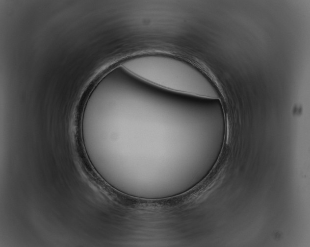 X0000101980435200807180804