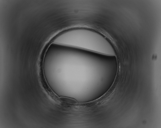 X0000101980436200807180804