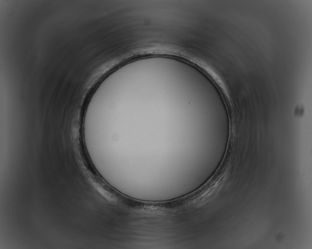 X0000101980437200807180804
