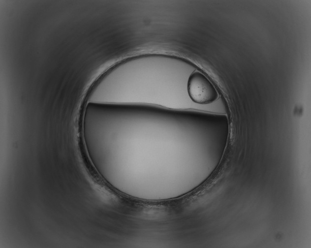X0000101980438200807180804