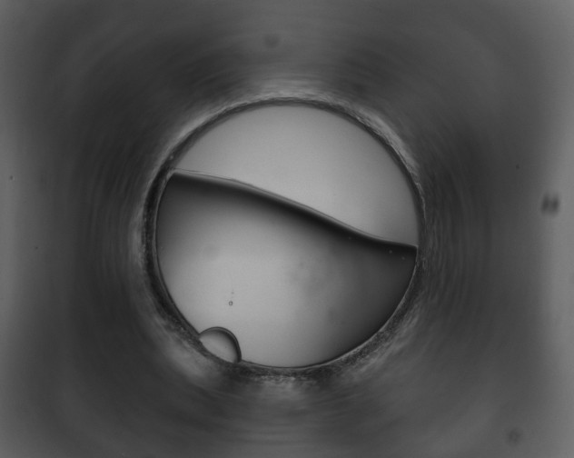 X0000101980439200807180804