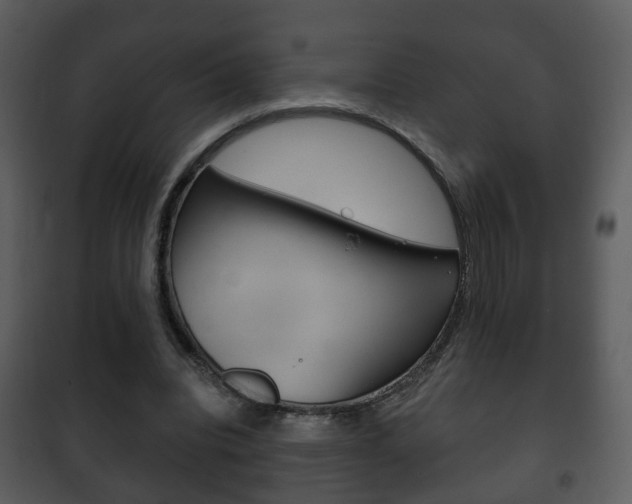 X0000101980440200807180804