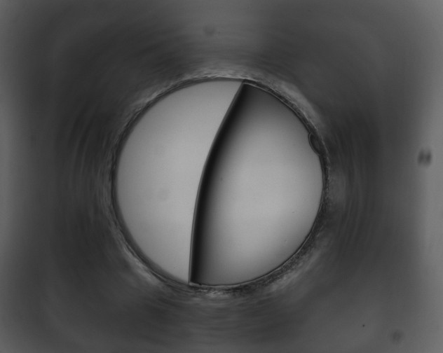 X0000101980441200807180804