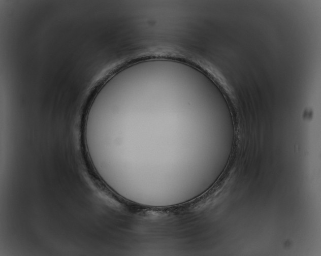 X0000101980442200807180804