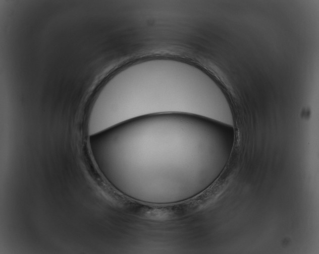X0000101980444200807180804
