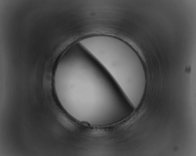 X0000101980445200807180804