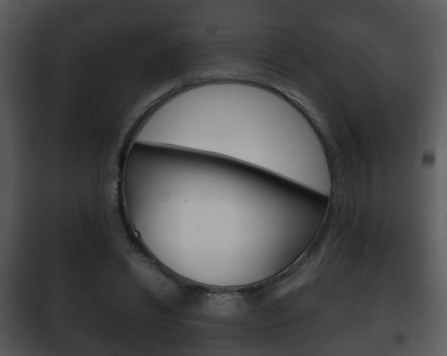 X0000101980446200807180804