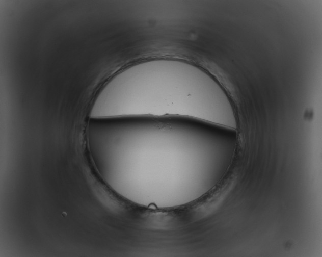 X0000101980449200807180804
