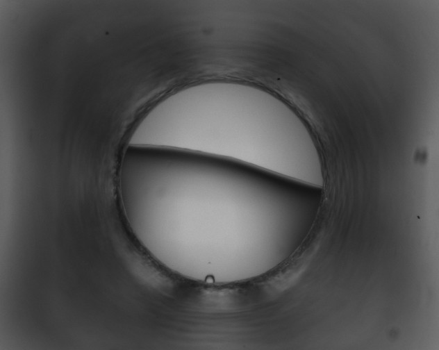 X0000101980450200807180804