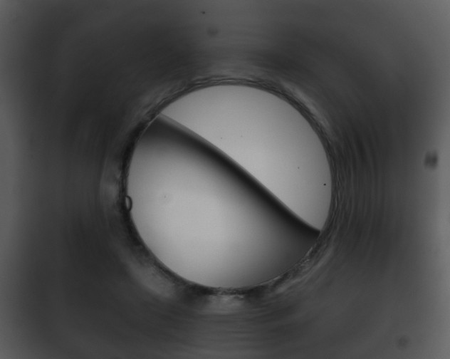 X0000101980451200807180804