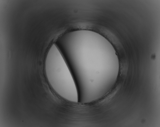 X0000101980453200807180804