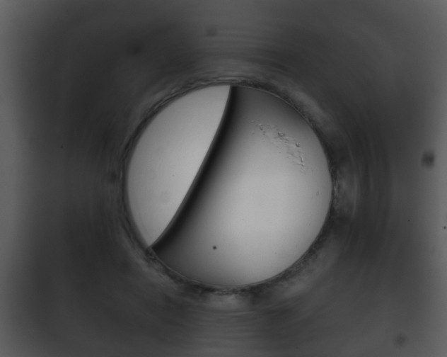 X0000101980454200807180804