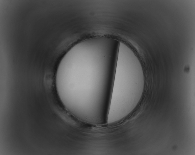 X0000101980455200807180804