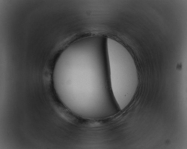 X0000101980456200807180804