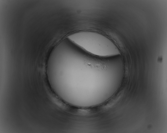 X0000101980457200807180804