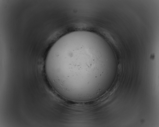 X0000101980458200807180804