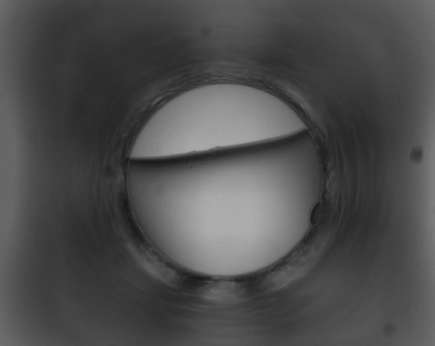 X0000101980459200807180804