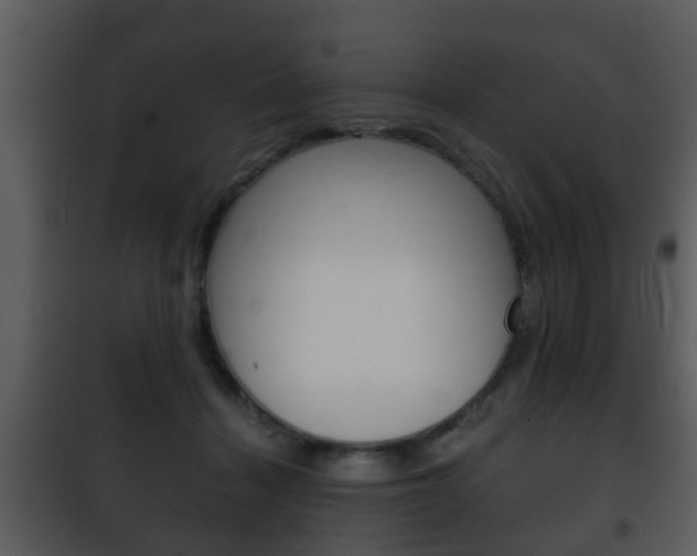 X0000101980460200807180804