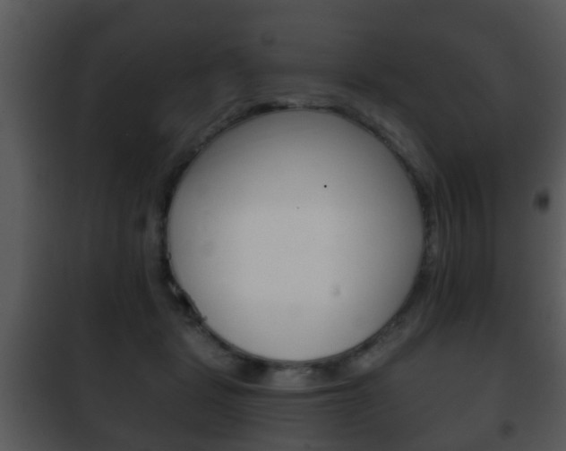 X0000101980461200807180804