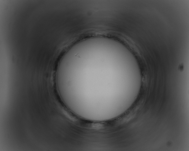 X0000101980462200807180804