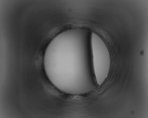 X0000101980463200807180804