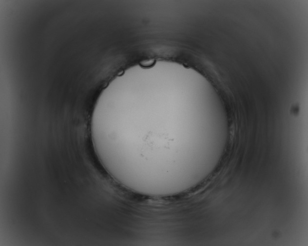 X0000101980464200807180804