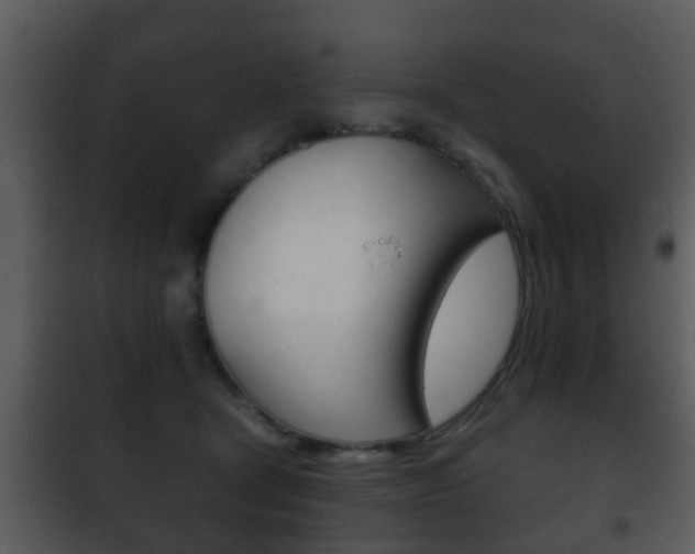 X0000101980465200807180804